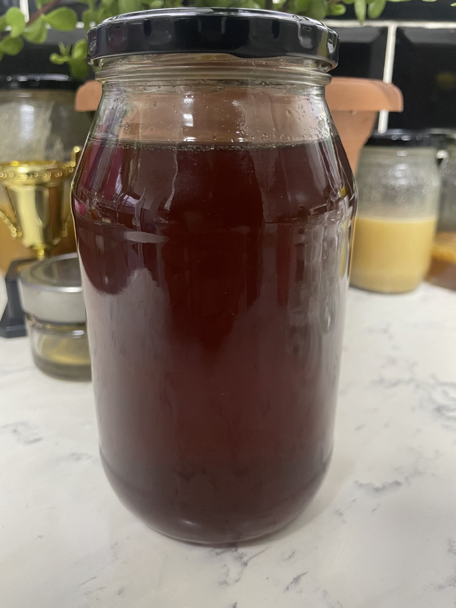 Organic Fynbos Honey 1kg Jar